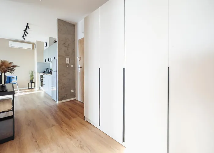 Meet And Greet, Przy Hali Koncertowej